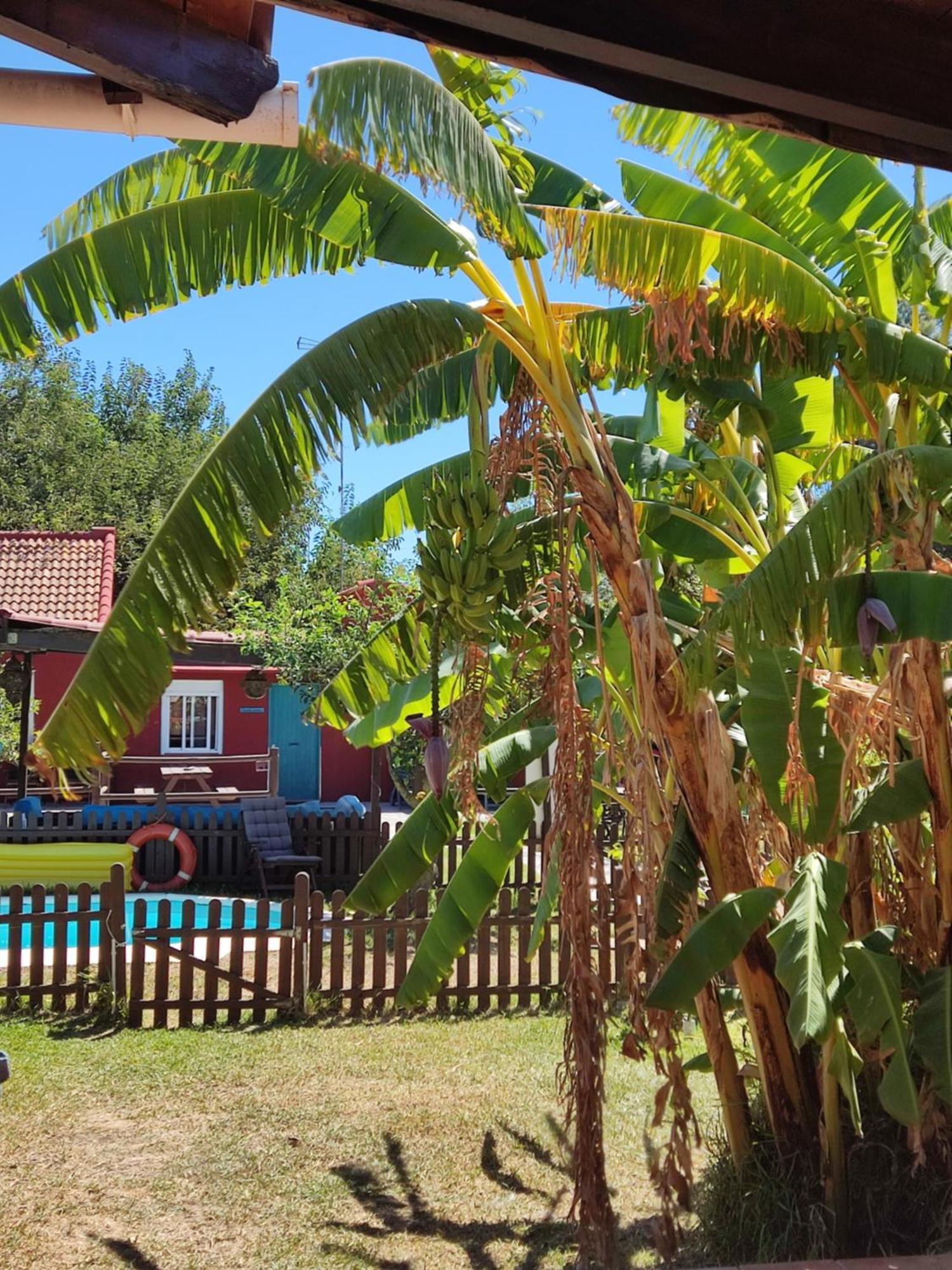 Karma House Guest House Casares Exterior photo